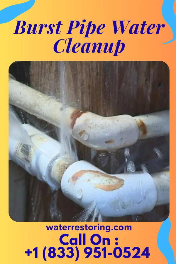 Burst Pipe Water Cleanup in Ridgefield Park, NJ