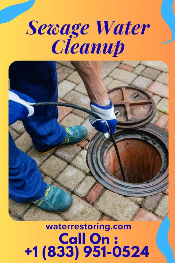 Sewage Water Cleanup in Ridgefield Park, NJ